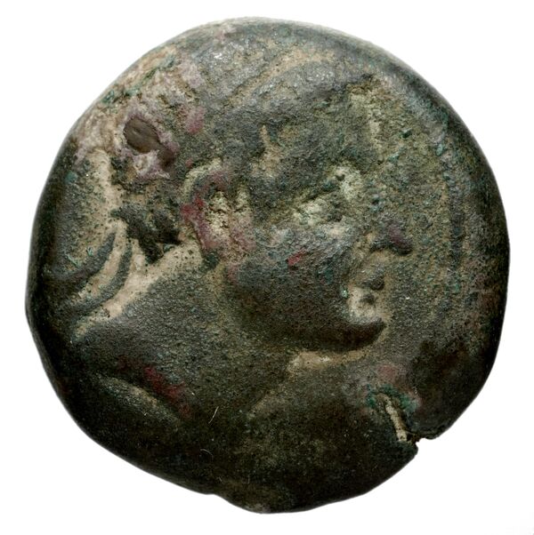 аверс Seleucid Coins (part 1) 1243