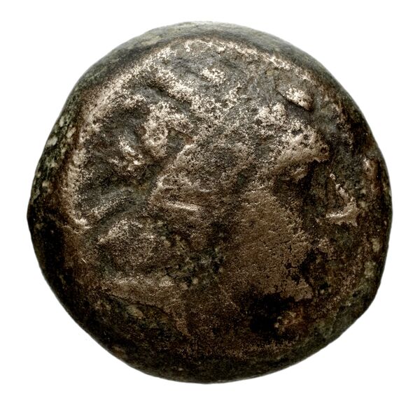 Seleucid Coins (part 1) 1253, аверс, bnf-hrc