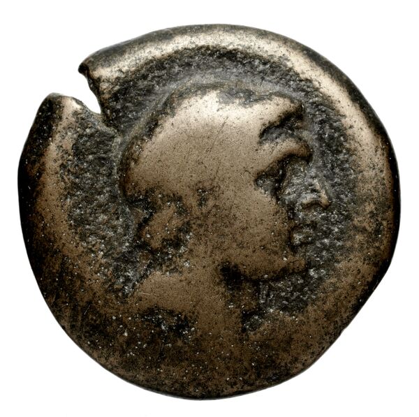 аверс Seleucid Coins (part 2) 1742