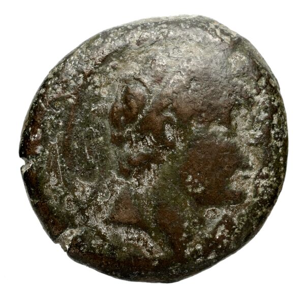 аверс Seleucid Coins (part 2) 1744