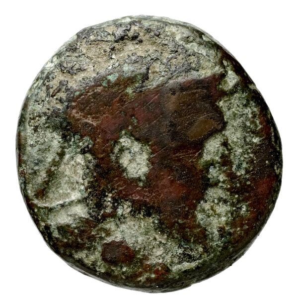 аверс Seleucid Coins (part 1) 188.1