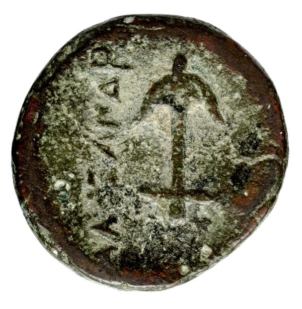 реверс Seleucid Coins (part 1) 188.1