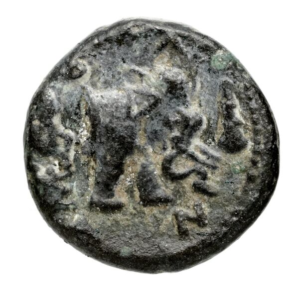 Seleucid Coins (part 1) 342, реверс, bnf-hrc