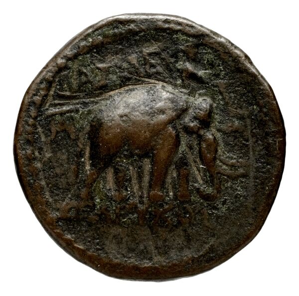 реверс Seleucid Coins (part 1) 820a