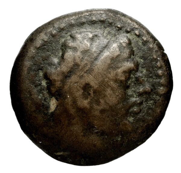 аверс Seleucid Coins (part 1) 1247