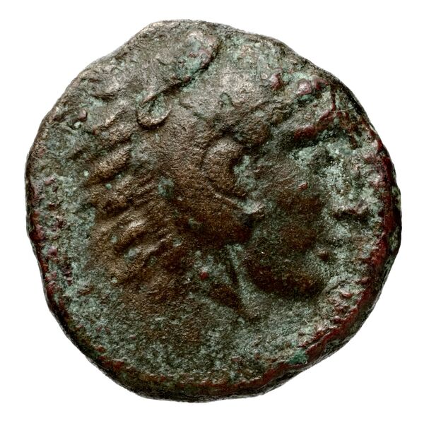 Seleucid Coins (part 1) 657.7, аверс, bnf-hrc