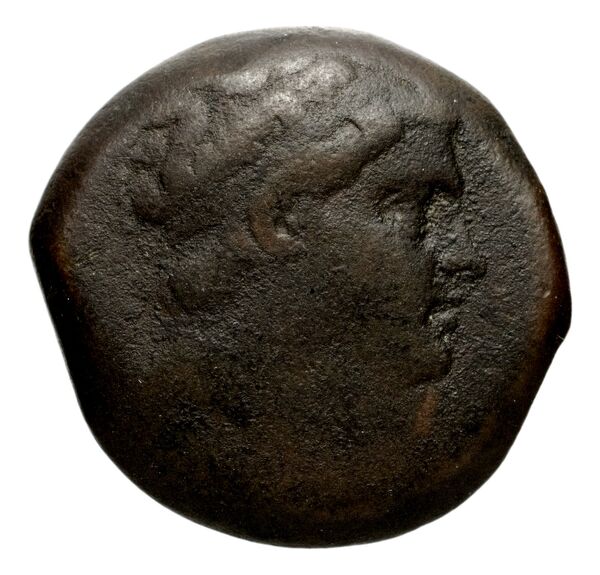 Seleucid Coins (part 1) 1272, аверс, bnf-hrc
