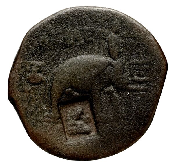 Seleucid Coins (part 1) 1272, реверс, bnf-hrc