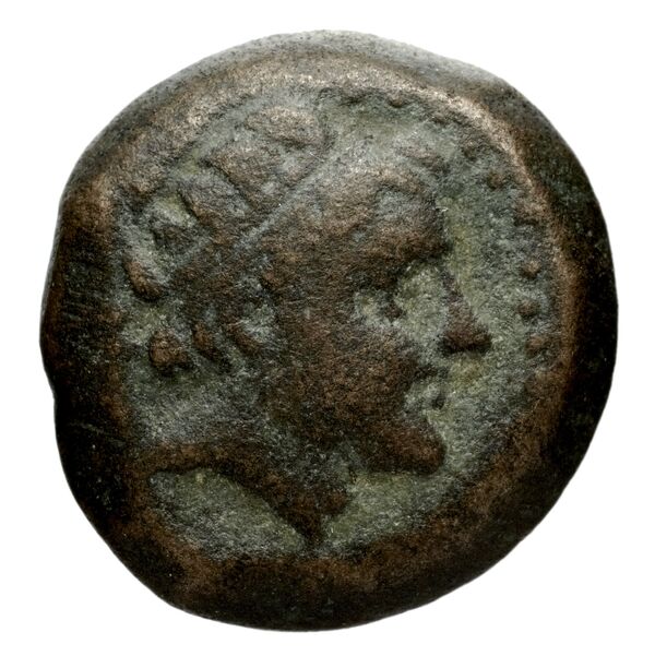 Seleucid Coins (part 1) 1270, аверс, bnf-hrc