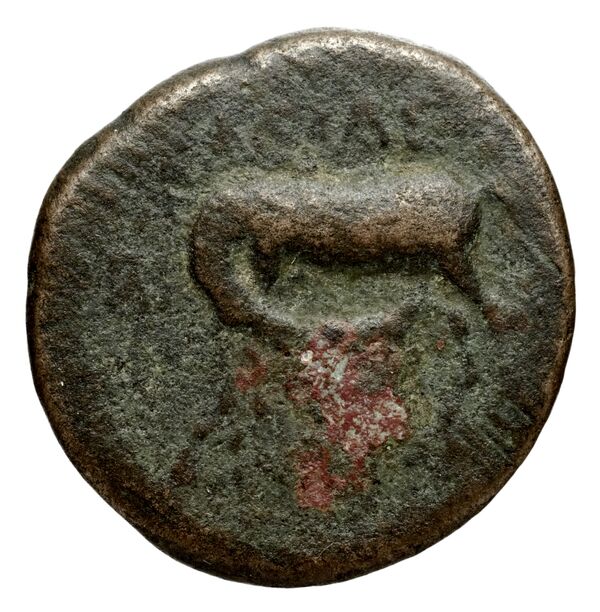Seleucid Coins (part 1) 1270, реверс, bnf-hrc