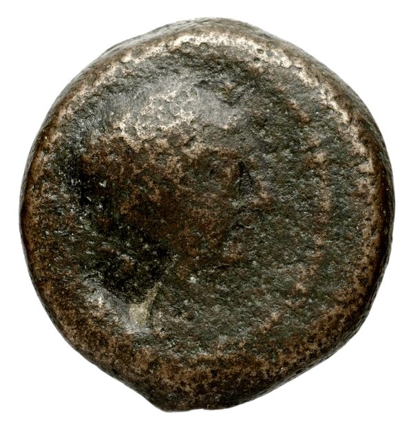 аверс Seleucid Coins (part 2) 1556.1