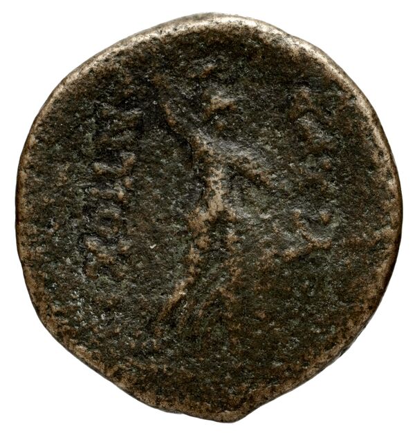 реверс Seleucid Coins (part 2) 1556.1