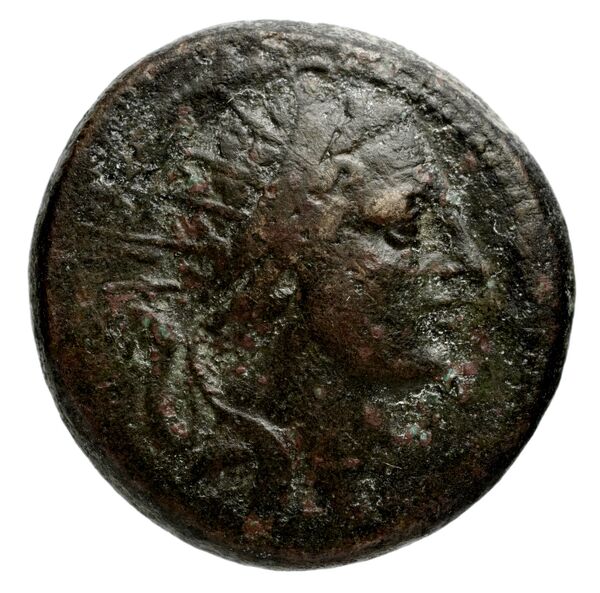 Seleucid Coins (part 2) 1480, аверс, bnf-hrc