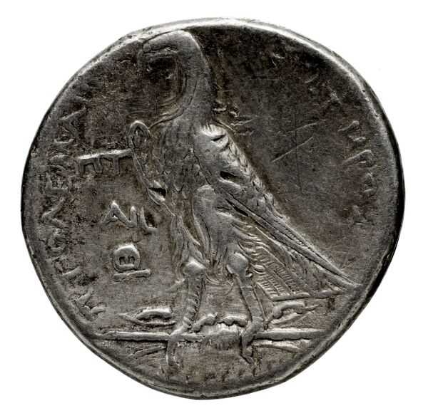 Coins of the Ptolemaic Empire Vol. I, Part 1, no. 455, реверс, bnf-hrc