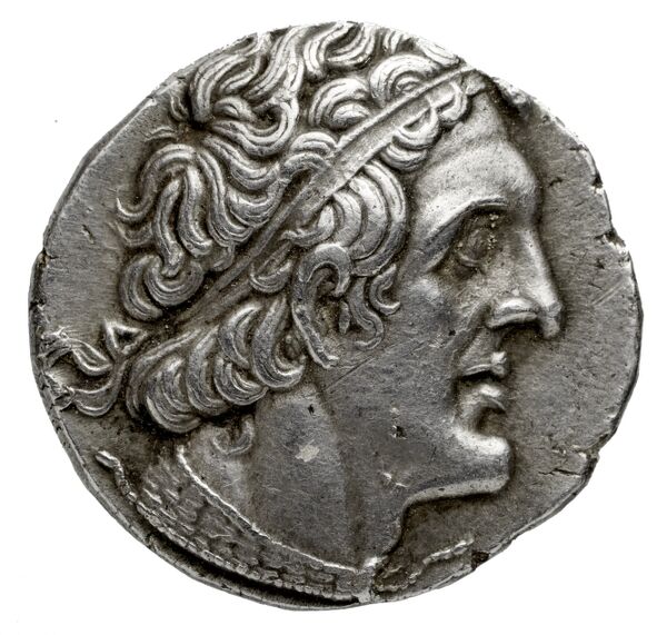 аверс Coins of the Ptolemaic Empire Vol. I, Part 1, no. 556