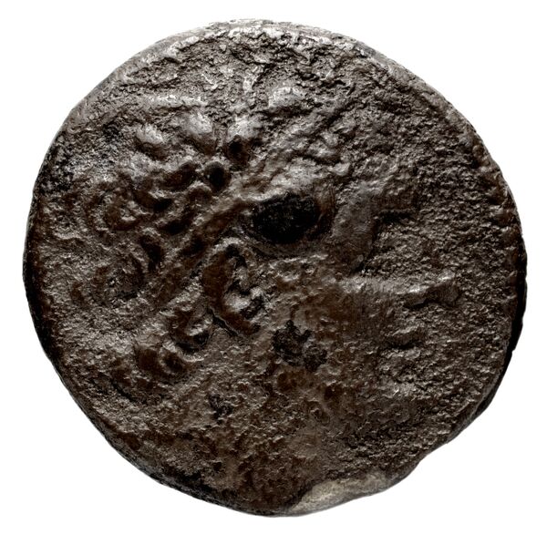 аверс Coins of the Ptolemaic Empire Vol. I, Part 1, no. 955