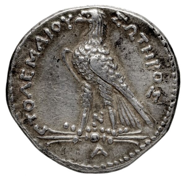 Coins of the Ptolemaic Empire Vol. I, Part 1, no. 956, реверс, bnf-hrc
