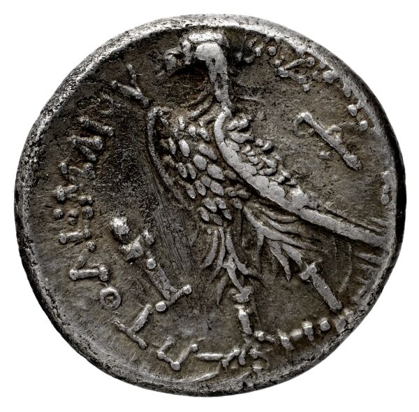Птолемей III Эвергет rev