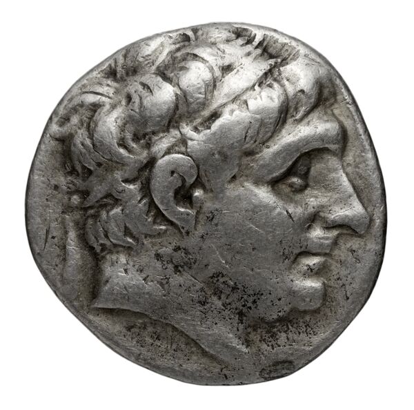 аверс Seleucid Coins (part 1) 541.1