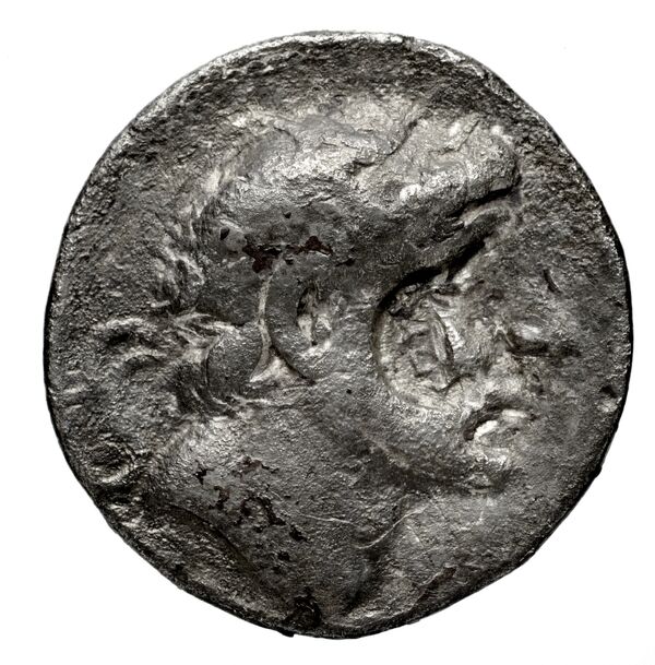 аверс Seleucid Coins (part 1) 379
