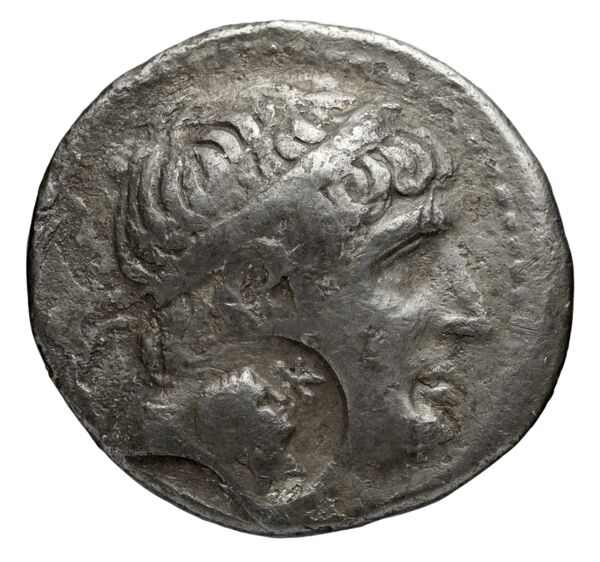 аверс Seleucid Coins (part 1) 497