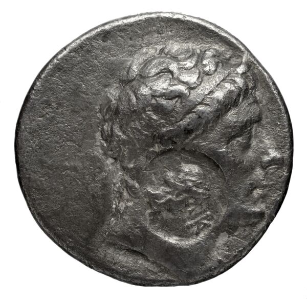 аверс Seleucid Coins (part 1) 563b