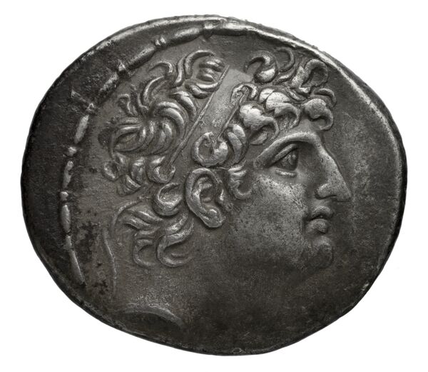аверс Seleucid Coins (part 2) 2302.1d