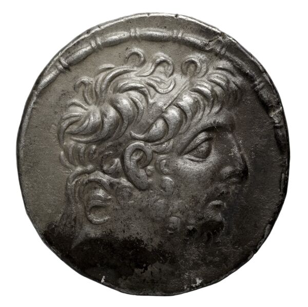 аверс Seleucid Coins (part 2) 2366.1e