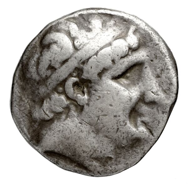 аверс Seleucid Coins (part 1) 437