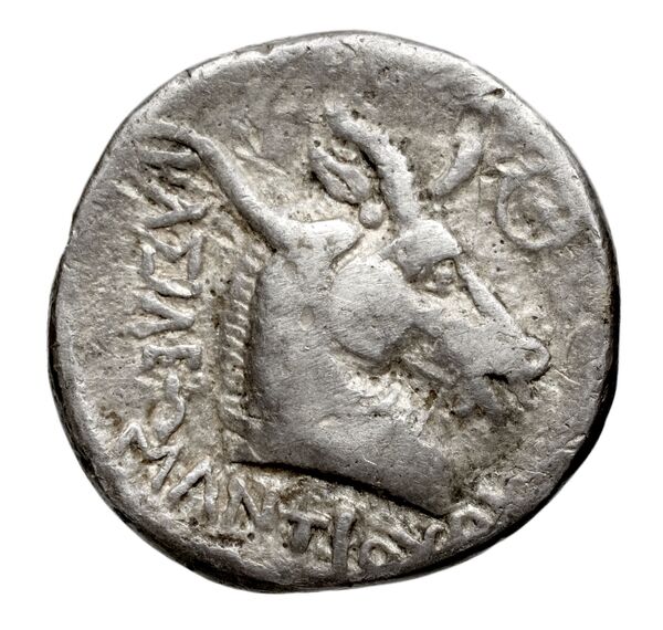 реверс Seleucid Coins (part 1) 432.2