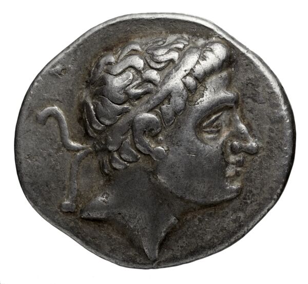 аверс Seleucid Coins (part 1) 493