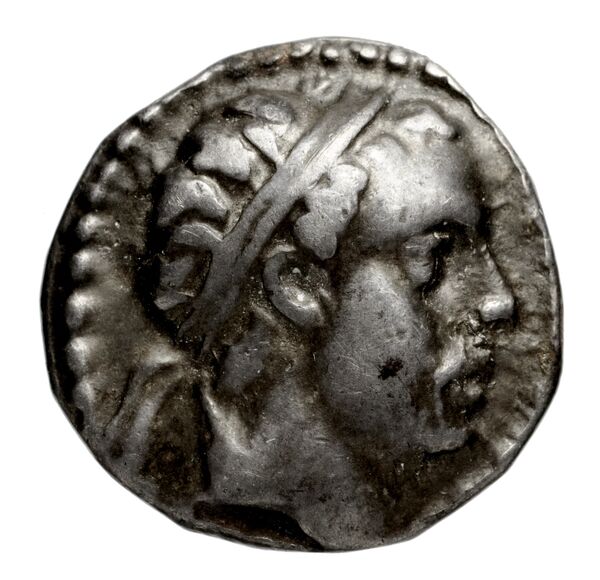 аверс Seleucid Coins (part 2) 1559.12