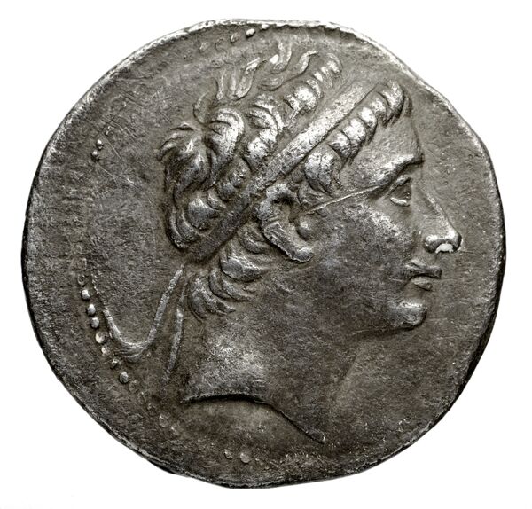 аверс Seleucid Coins (part 1) 704.1f