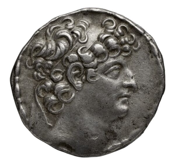 Seleucid Coins (part 2) 2460a, аверс, bnf-hrc