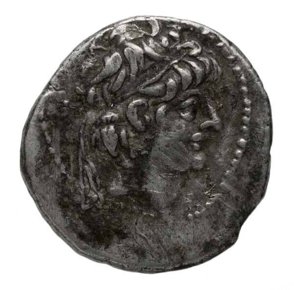 аверс Seleucid Coins (part 2) 2224d