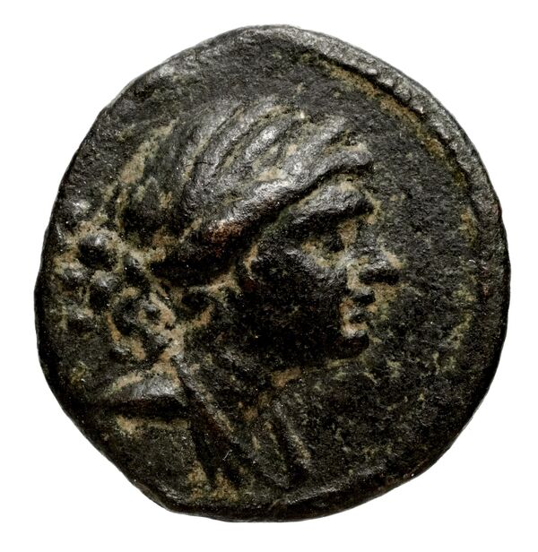 Seleucid Coins (part 1) 922, аверс, bnf-hrc