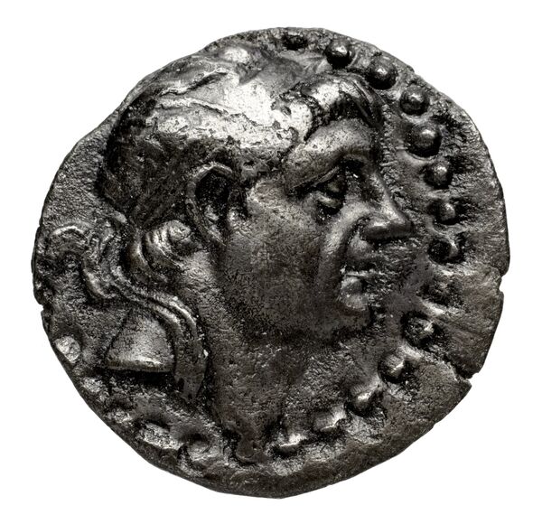 Seleucid Coins (part 2) 1593, аверс, bnf-hrc