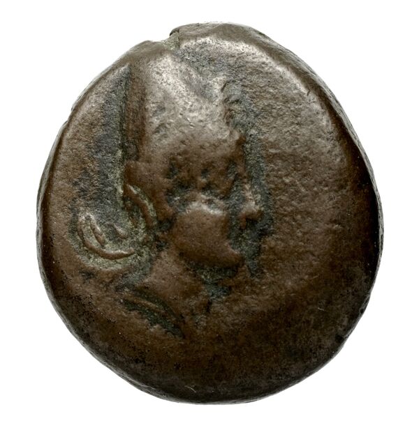 аверс Seleucid Coins (part 1) 269