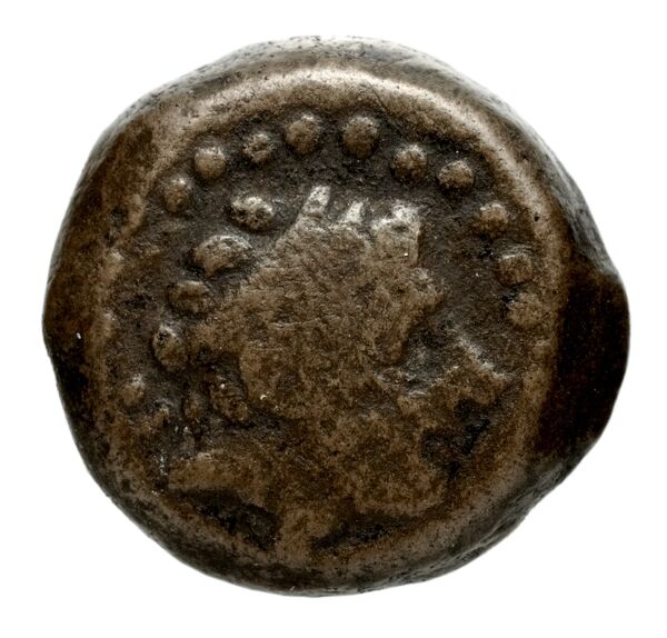 Seleucid Coins (part 1) 1254, аверс, bnf-hrc
