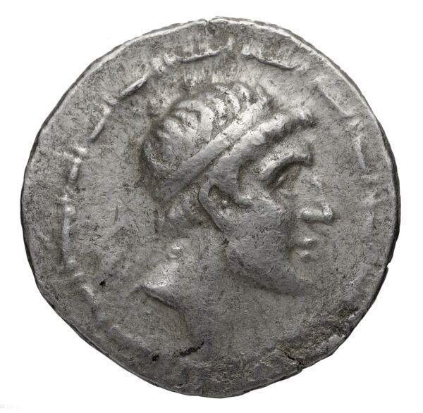 Seleucid Coins (part 2) 1711.6a, аверс, bnf-hrc