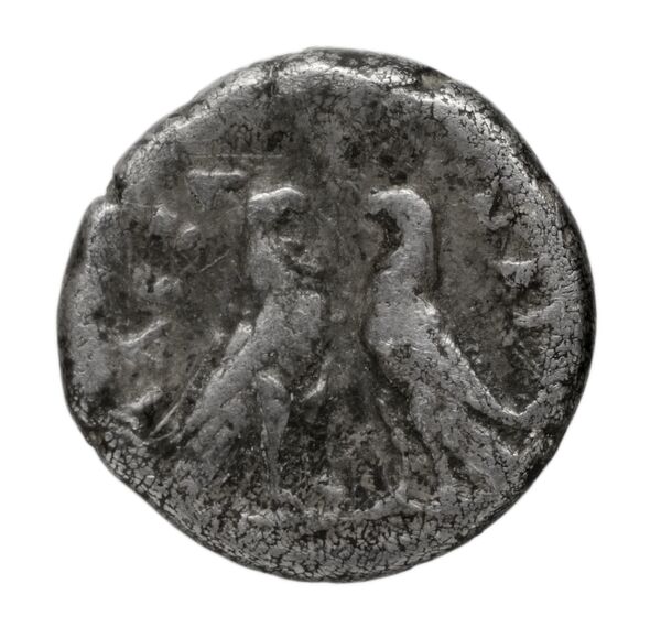 Price 155, реверс, bnf-hrc