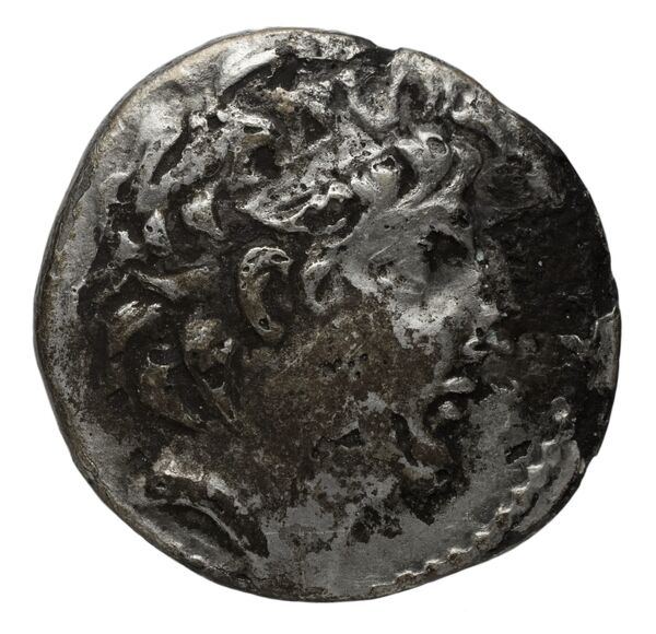 аверс Seleucid Coins (part 2) 2221.1a