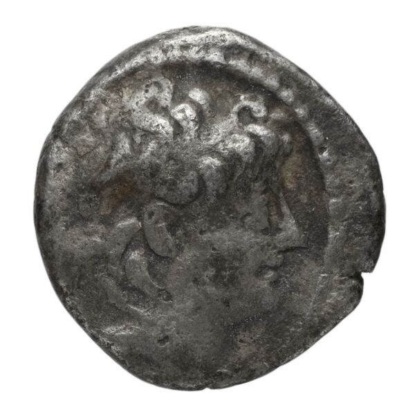 аверс Seleucid Coins (part 2) 2228a