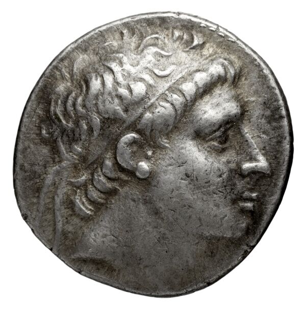 obverse Seleucid Coins (part 1) 543.4
