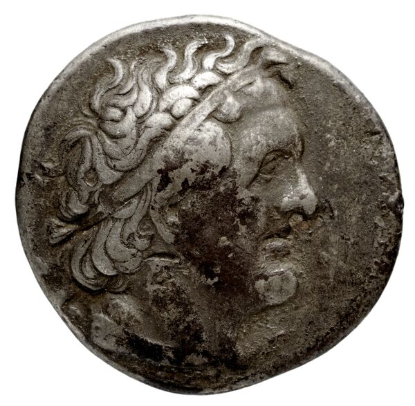 Coins of the Ptolemaic Empire Vol. I, Part 1, no. 142, obverse, bnf-hrc