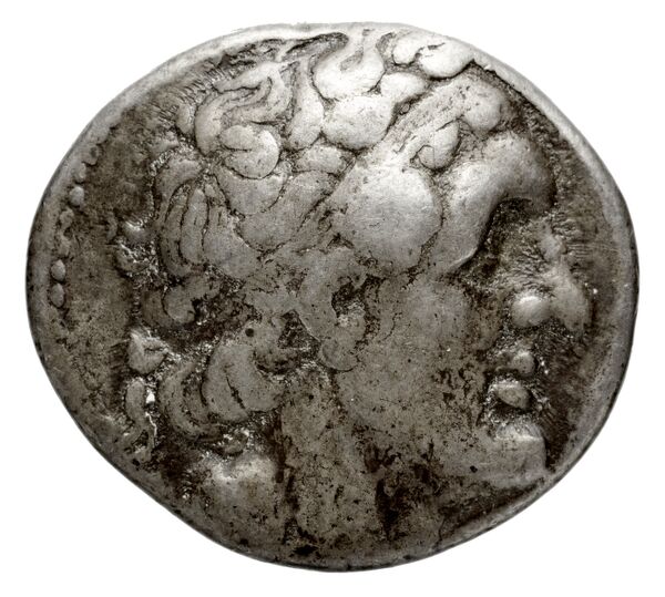 Coins of the Ptolemaic Empire Vol. I, Part 1, no. 235, obverse, bnf-hrc