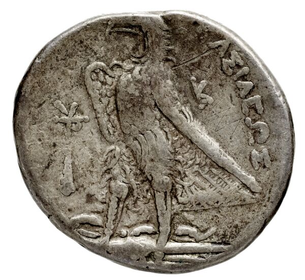 Coins of the Ptolemaic Empire Vol. I, Part 1, no. 558, реверс, bnf-hrc