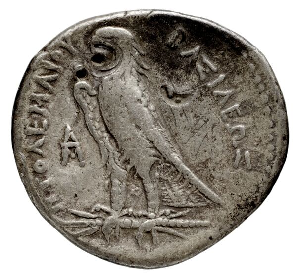 Coins of the Ptolemaic Empire Vol. I, Part 1, no. 174, реверс, bnf-hrc