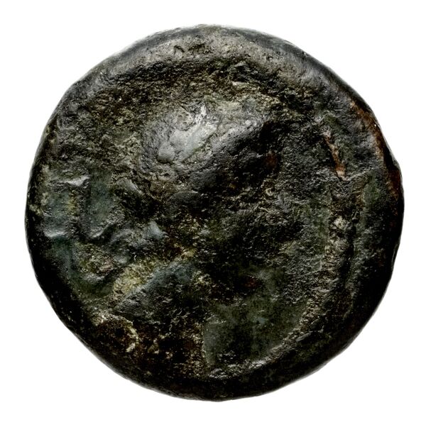 Seleucid Coins (part 1) 815, аверс, bnf-hrc