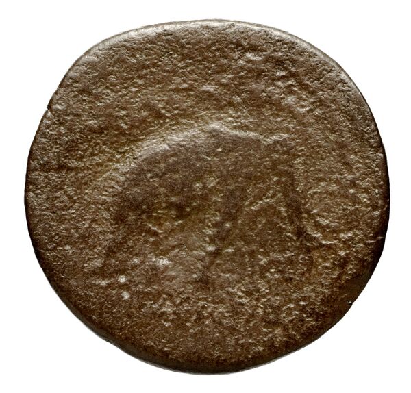 Seleucid Coins (part 1) 820a, реверс, bnf-hrc